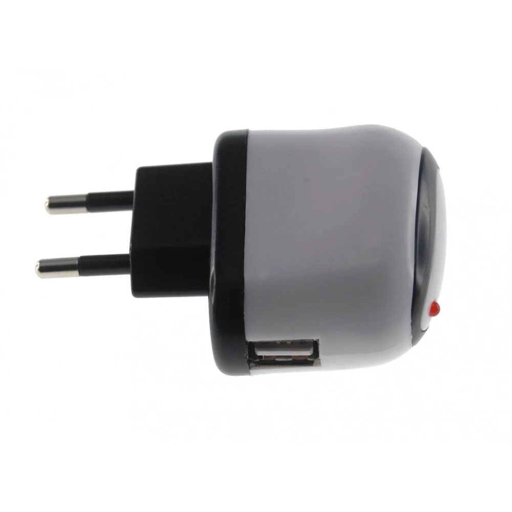 Adaptador de corrent USB 10W per a iPad-iPad 2 compatible amb iPod i iPhone