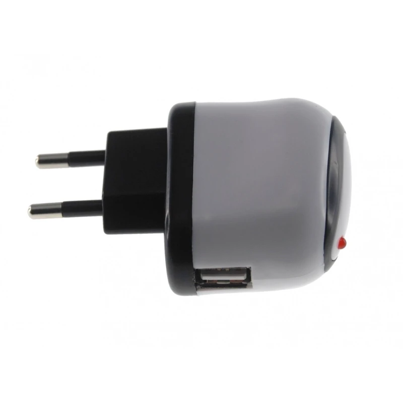 Adaptador de corrent USB 10W per a iPad-iPad 2 compatible amb iPod i iPhone