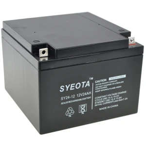 Songyuan Bateria de plom segellada 12V 24Ah SY24-12 recarregable