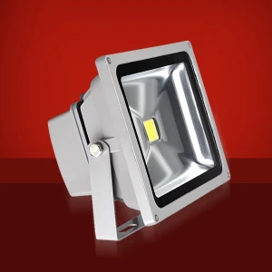 Focus projector LED 10W 3000K llum càlida per a exterior