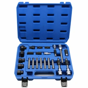 Kit Extractor Politges Alternador 24 Peces Professional Roda Lliure OAD Universal