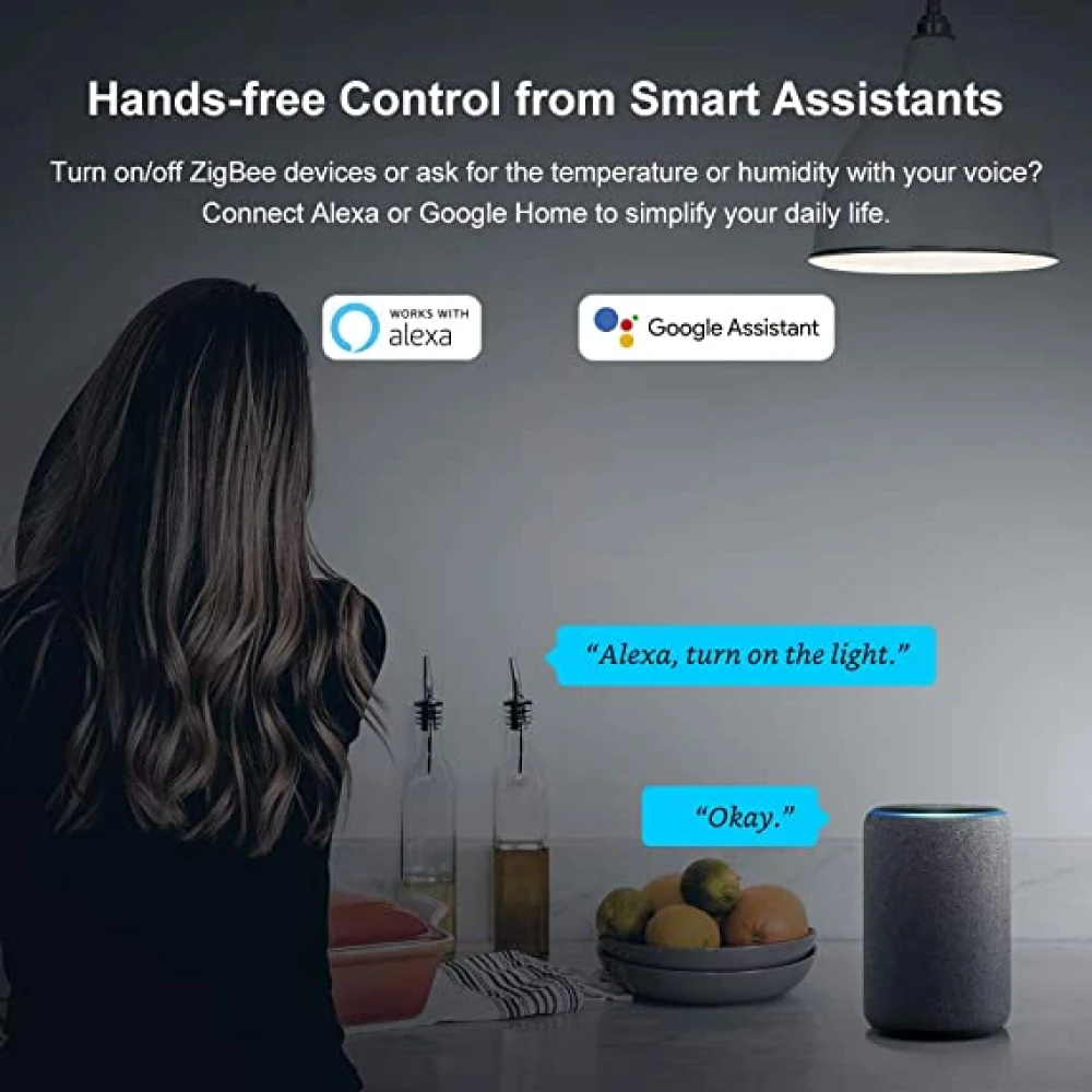 SONOFF ZBBridge: pont intel·ligent Zigbee amb suport WiFi i Alexa